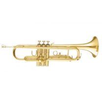 TTC-30L, MAXTONE TRUMPET BB KUTULU